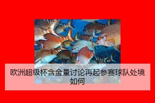 ou-zhou-chao-ji-bei-han-jin-liang-tao-lun-zai-qi-can-sai-qiu-dui-chu-jing-ru-he-2-274.jpg